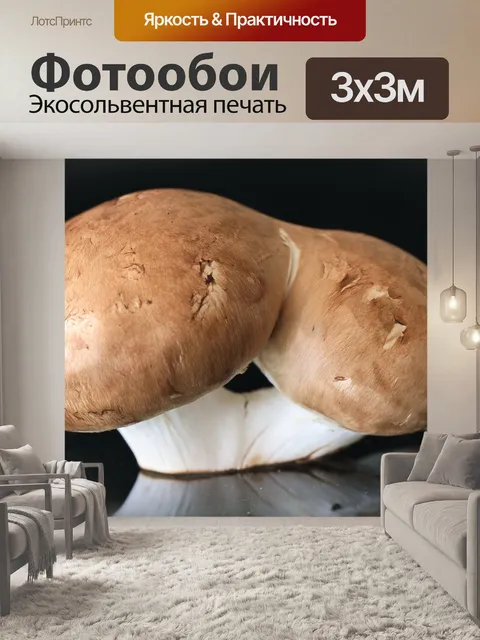 Фотообои Гриб