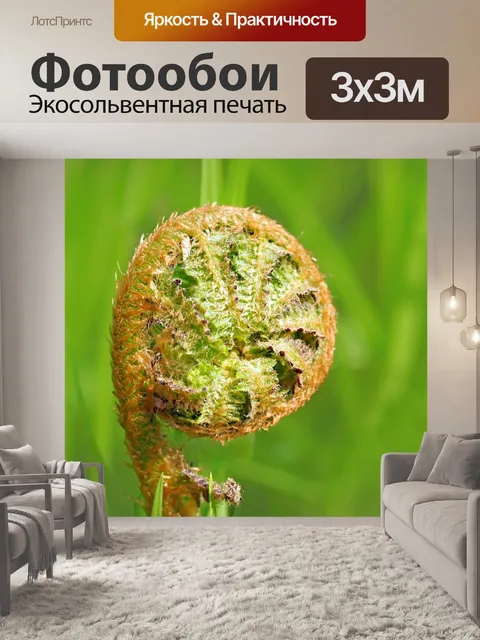 Фотообои Папоротник