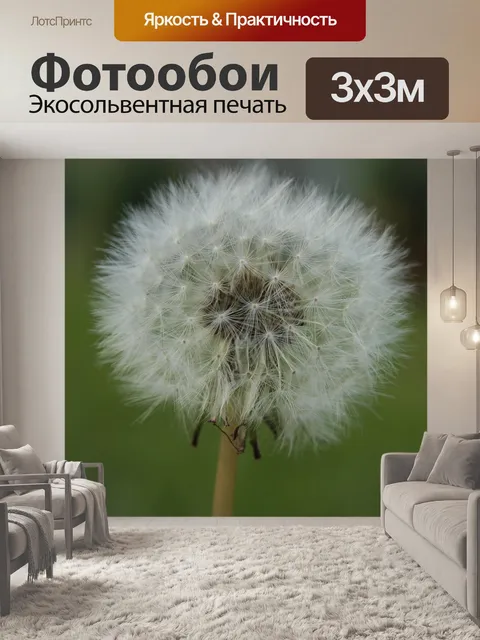 Фотообои Одуванчик