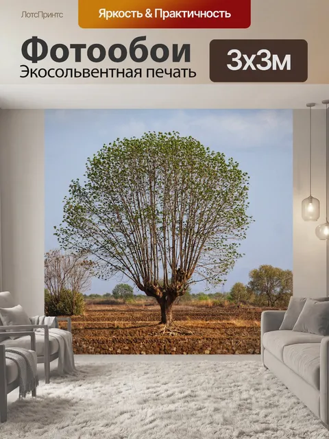 Фотообои Дерево