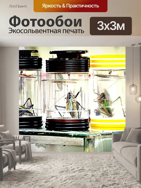 Фотообои Китайские сверчки