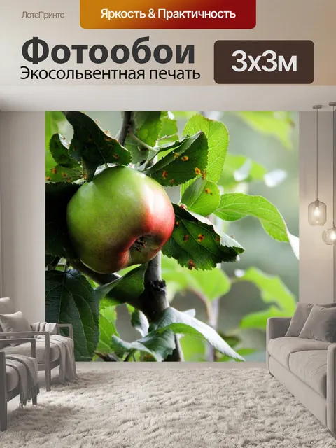Фотообои Листья