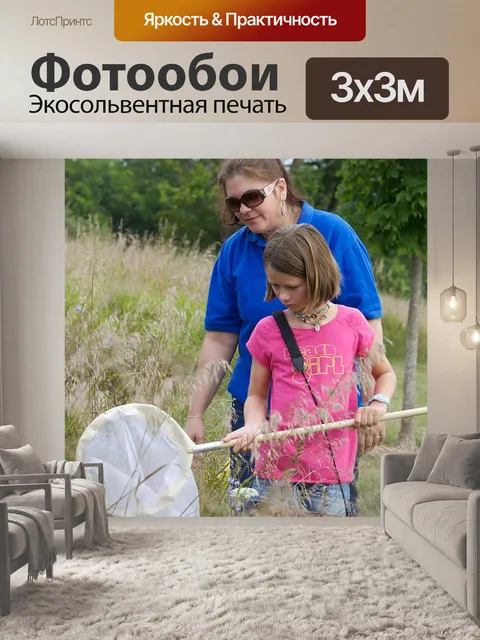 Фотообои Сеть
