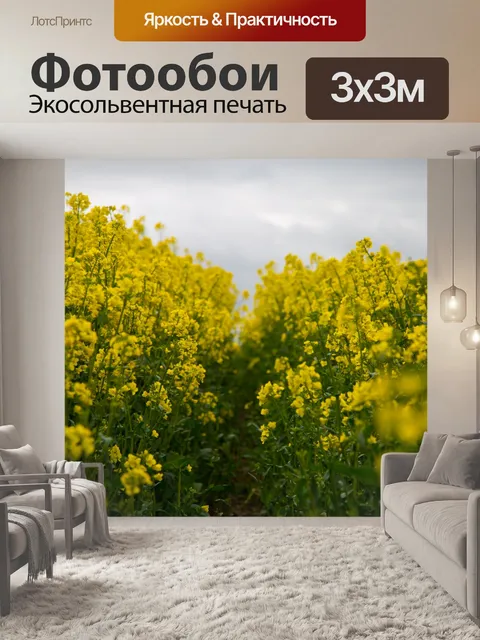 Фотообои Field Of Yellow канолы