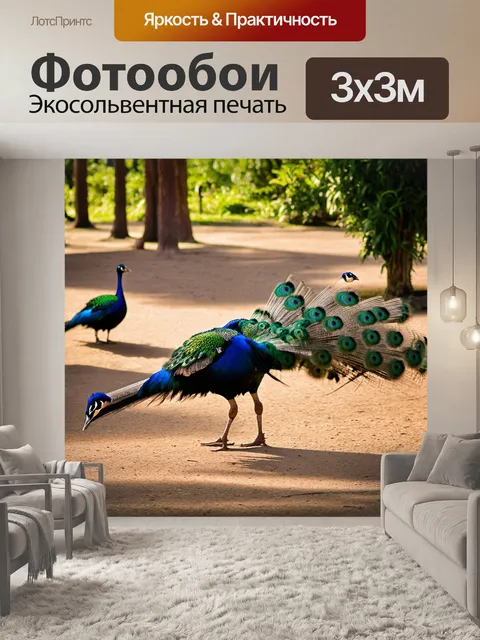 Фотообои панорама зоопарка на рассвете, где павлины начинают активно распускать свои перья