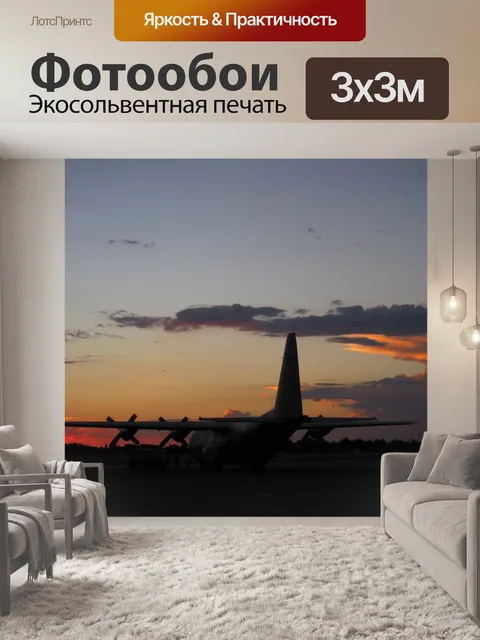 Фотообои фиксированные крылья в закат