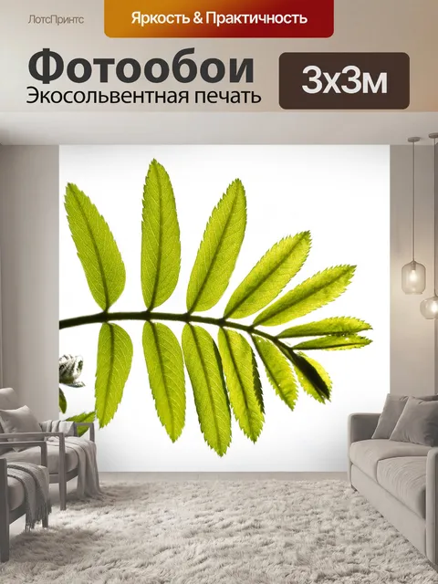 Фотообои зеленые листья