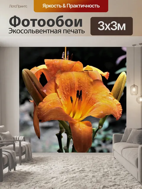 Фотообои Две оранжевые лилии и бутоны