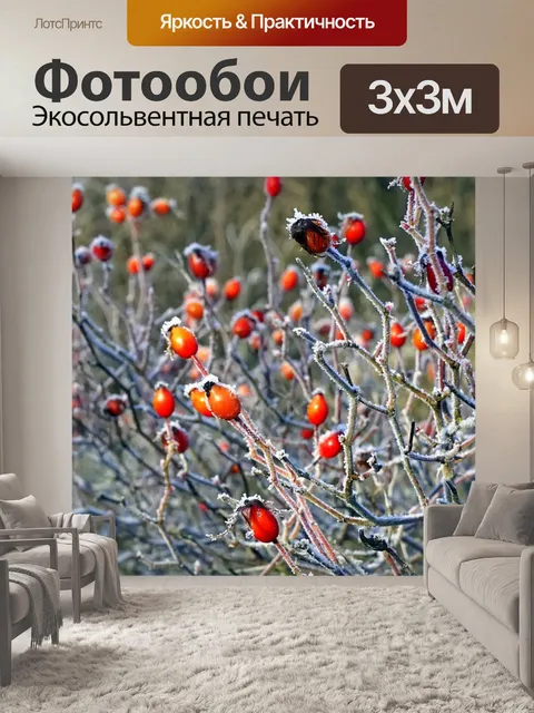 Фотообои Ягоды