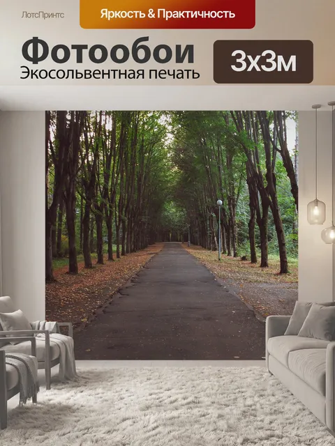Фотообои Forest