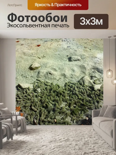 Фотообои Водные растения в Clear Stream