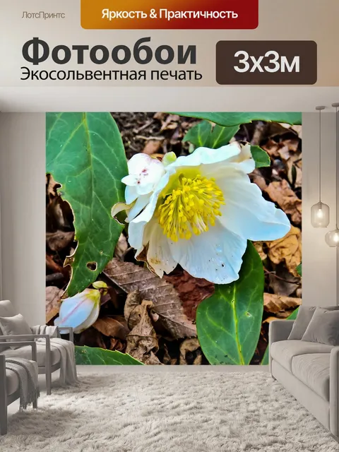 Фотообои Завод