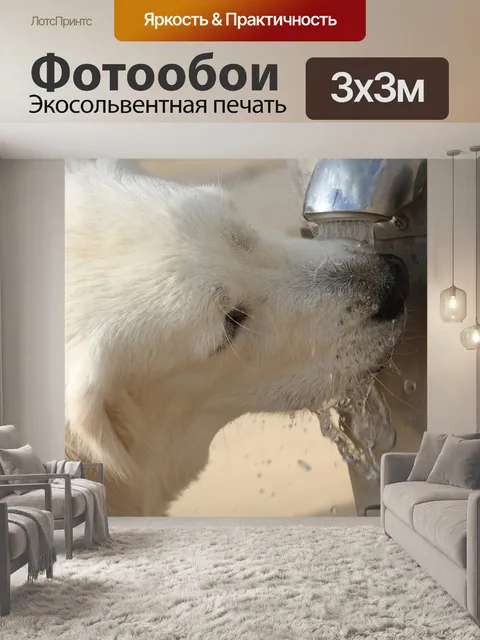 Фотообои Напиток