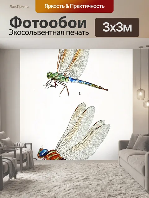 Фотообои Стрекозы старинные иллюстрации старый