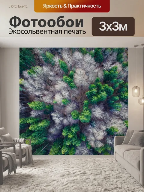 Фотообои С высоты птичьего полета