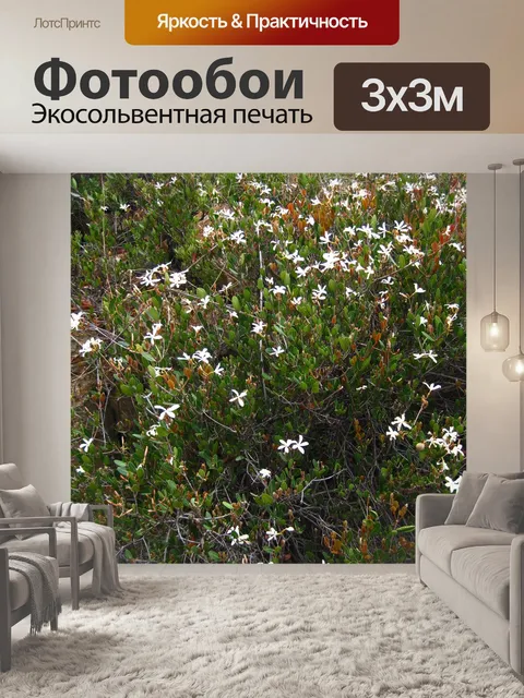 Фотообои растительность с мелкими белыми цветками