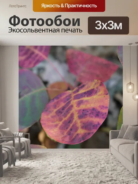 Фотообои Листья