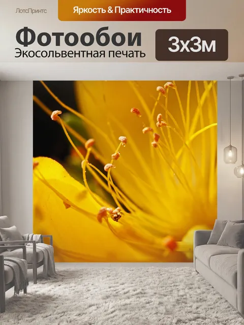 Фотообои капли воды на цветочных нитях