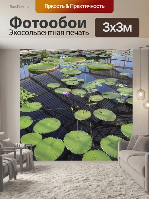 Фотообои Бассейн