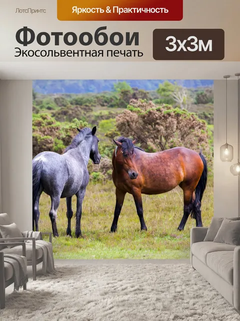 Фотообои Красивые Лошади