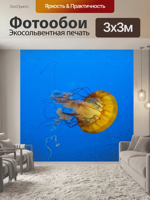 Фотообои Медуза