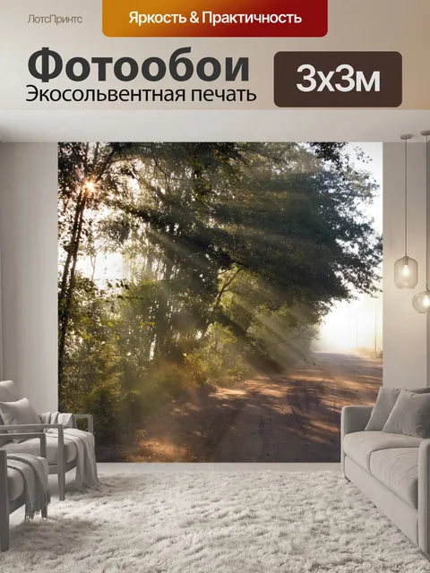 Фотообои Утренний туман Солнечные лучи 1
