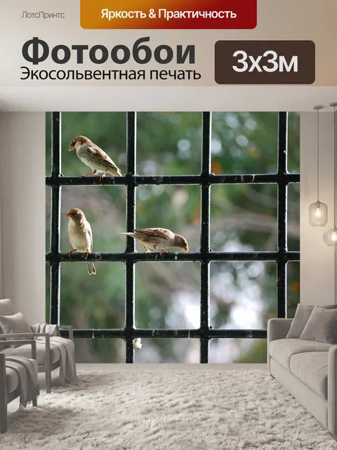 Фотообои Воробей