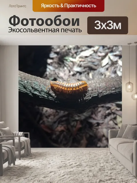 Фотообои Коста-рика