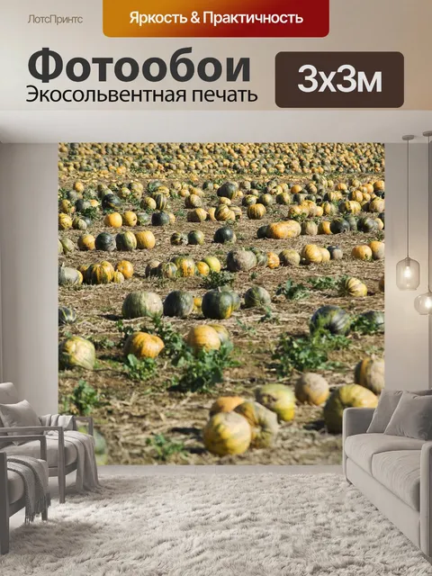 Фотообои Тыква