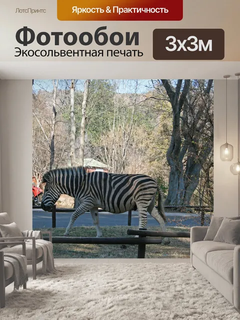 Фотообои Зебра в местечко для пикника