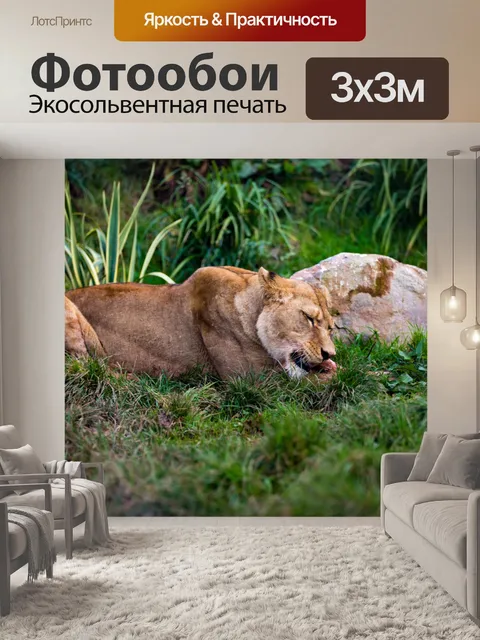 Фотообои Львица питание