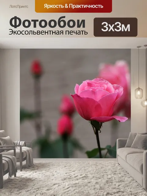 Фотообои Розовые розы