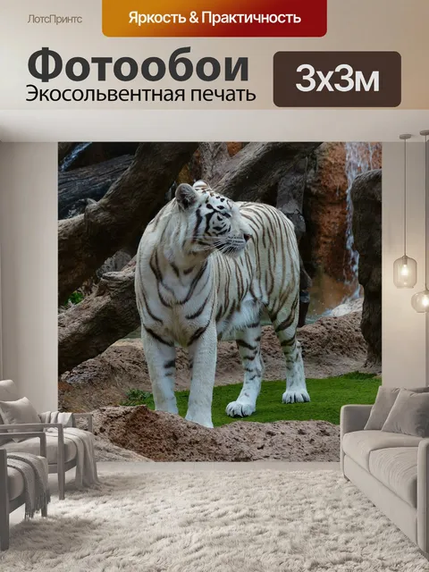 Фотообои Белый бенгальский тигр