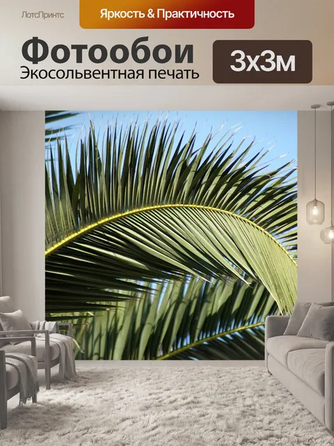 Фотообои Пальма