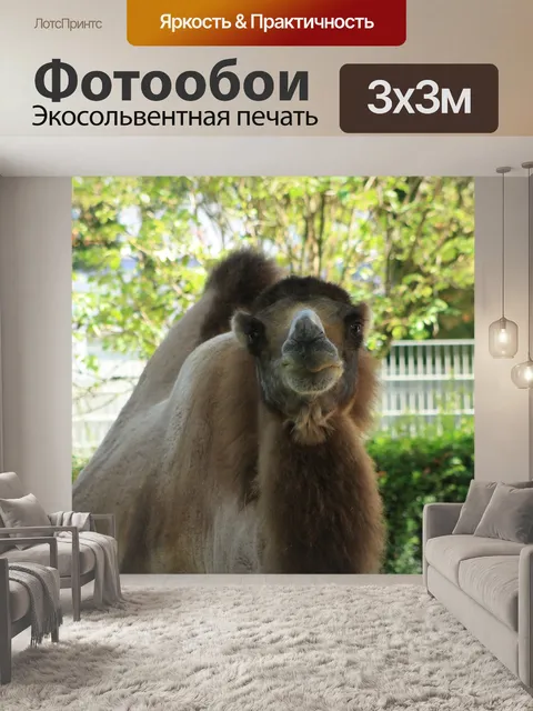 Фотообои Топтать