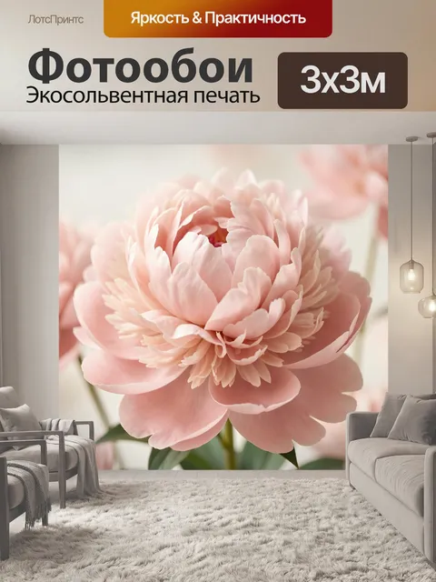 Фотообои Нежный розовый цветок крупным планом