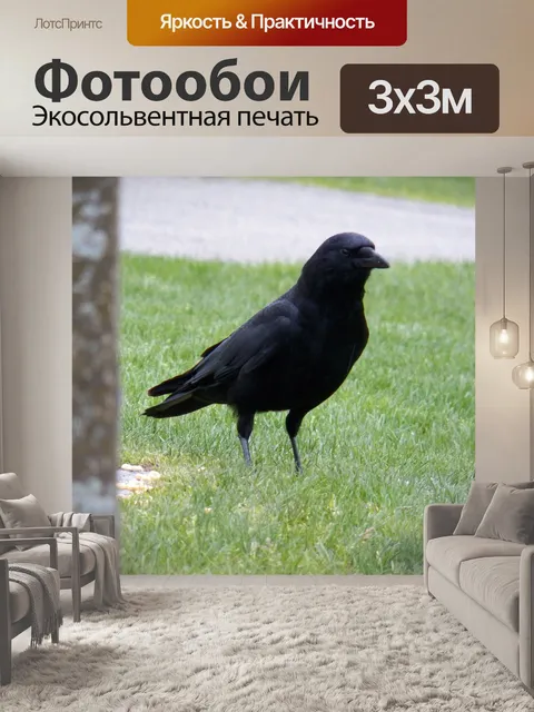 Фотообои Один Черный ворон