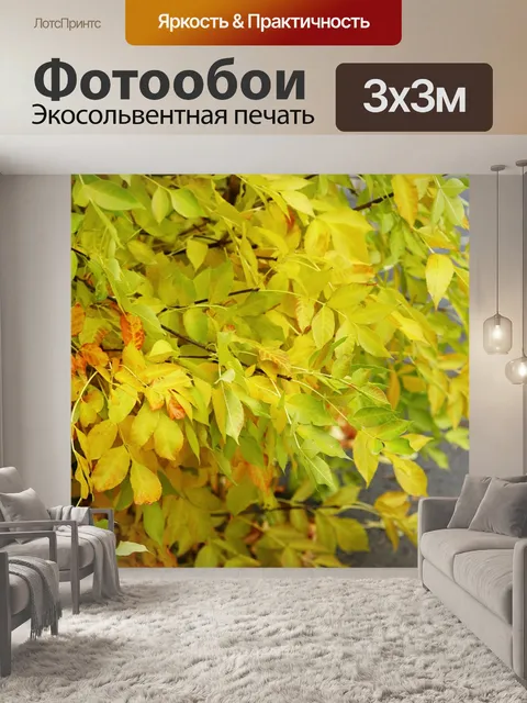 Фотообои Осень