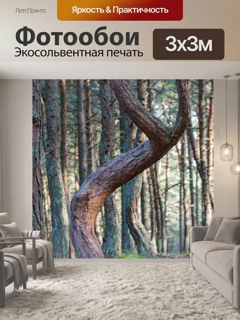 Фотообои Лес