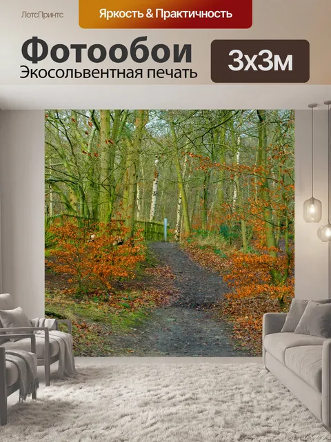 Фотообои Лес