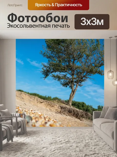 Фотообои Азовское море, дерево, корни