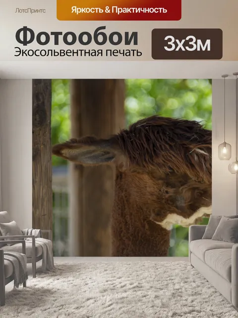 Фотообои альпака