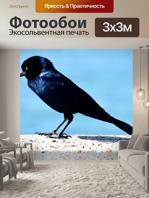 Фотообои Черная птица фон