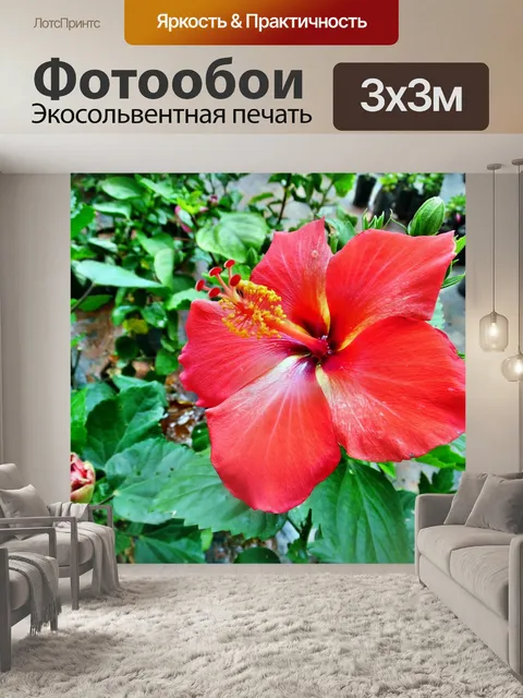 Фотообои Красный