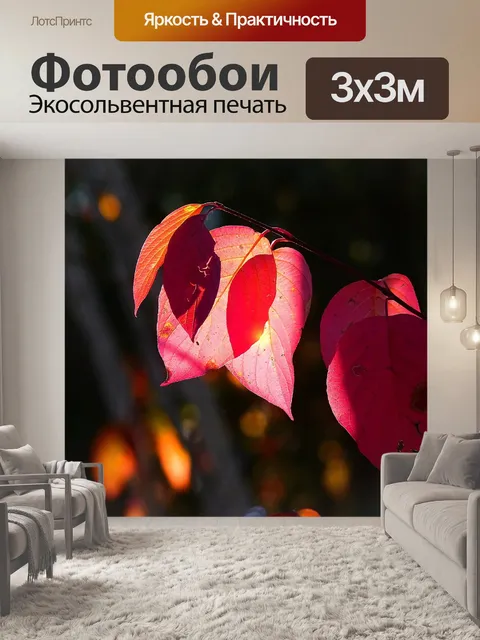 Фотообои Осень