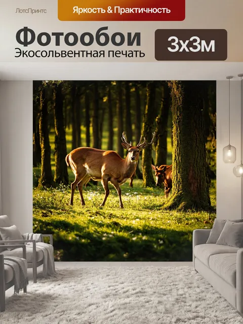 Фотообои красный олень грациозно проходит через зелёный лес, освещенный мягким утренним светом