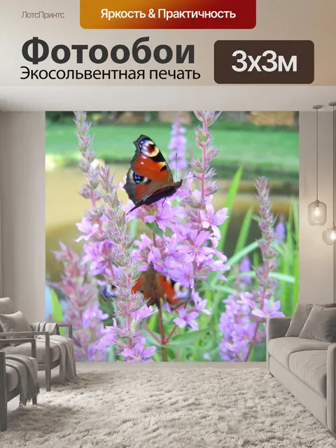 Фотообои Бабочки