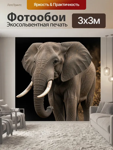 300 × 300 см · Экосольвентная печать