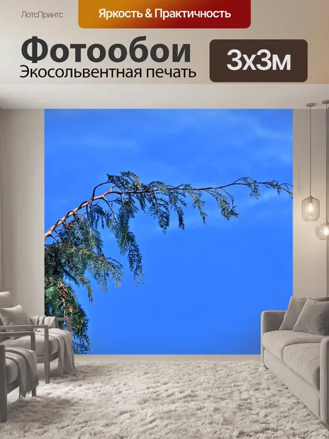 Фотообои Хвойное дерево