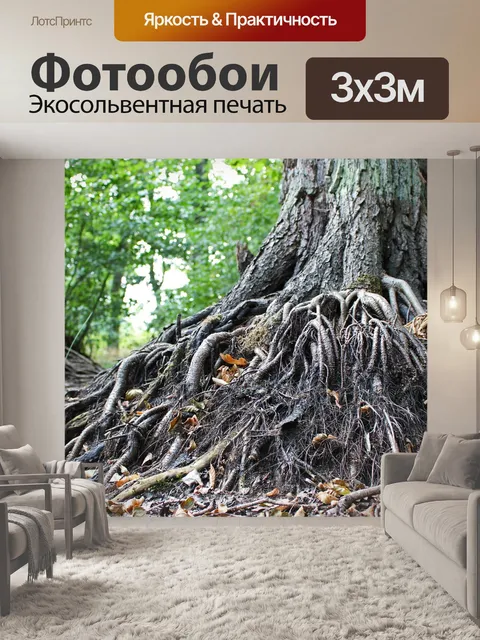 Фотообои Старое дерево